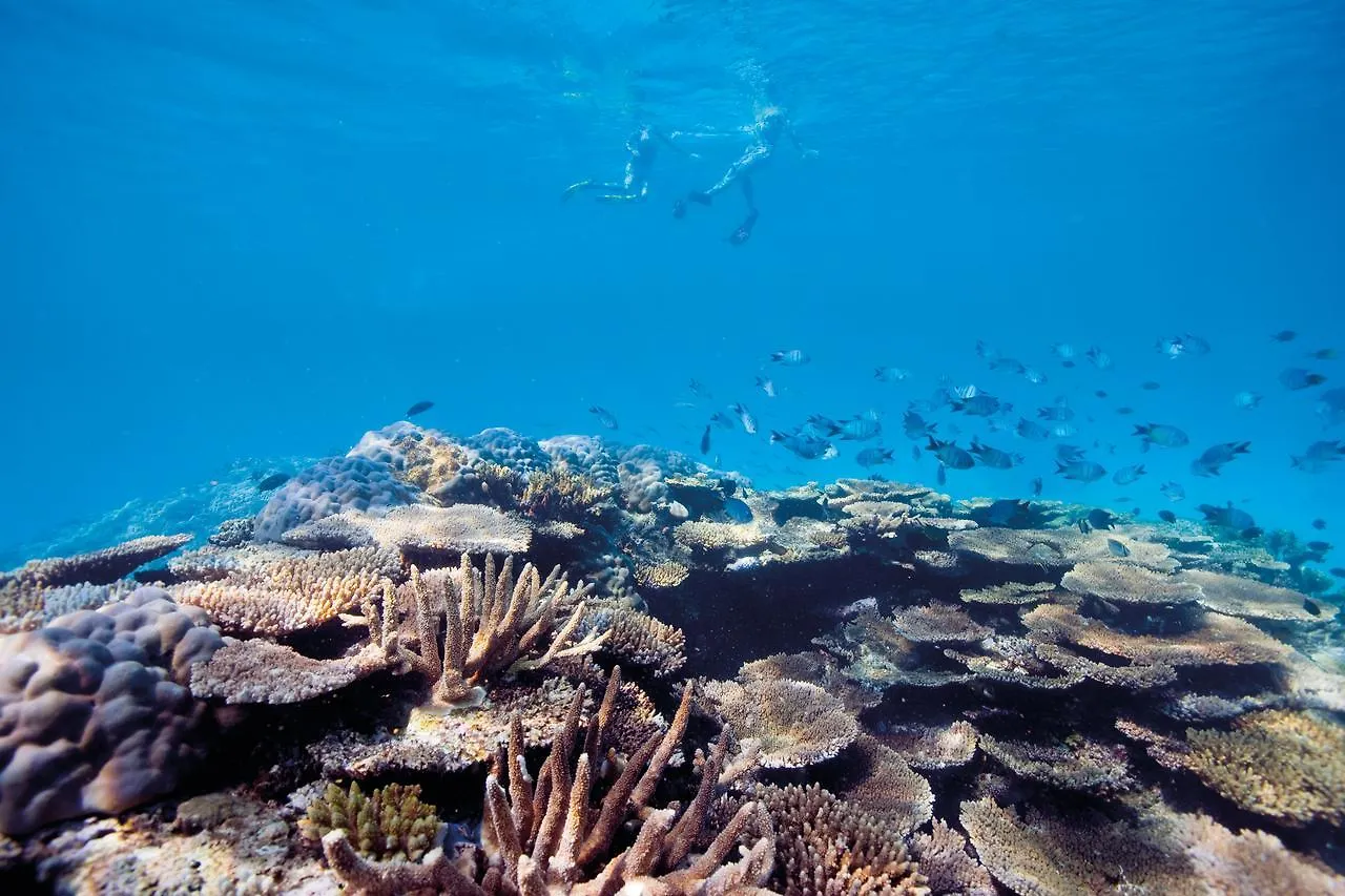 ***** Feriested Elysian Luxury Eco Island Retreat (Adults Only) Hotel Long Island Australien